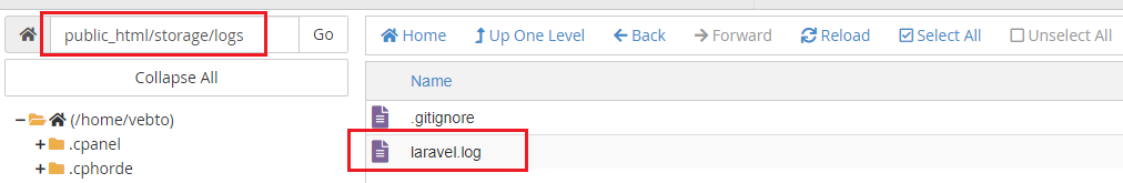 Log file containing the password reset link